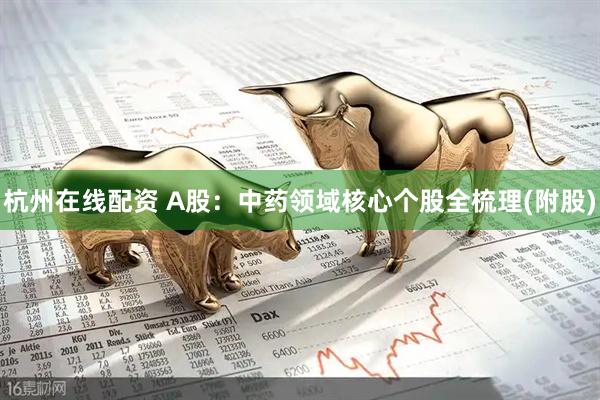 杭州在线配资 A股:中药领域核心个股全梳理(附股)